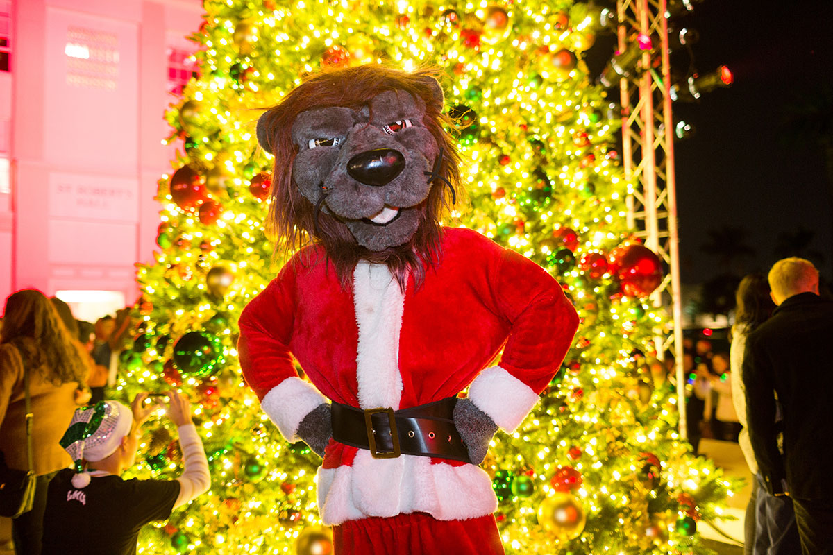 Iggy dressed as Santa in front of the LMU Christmas tree in Regents Terrace