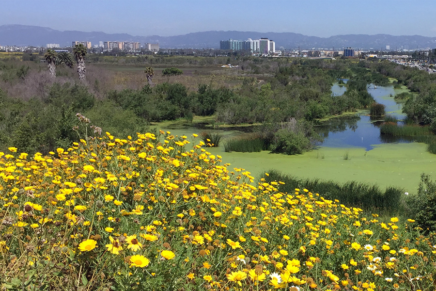 Center for Urban Resilience (CURes) at LMU.