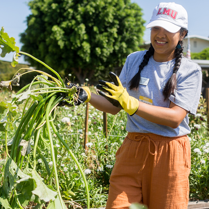 An LMU student pulling and proudly displaying a vegetable harvested from Alma Backyard Farms..