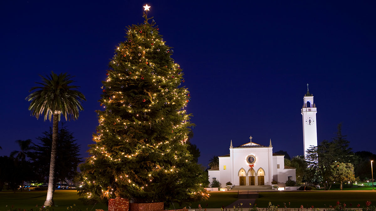 A lit up Christmas tree on Regents Terrace with Sacred Heart Chapel in the background