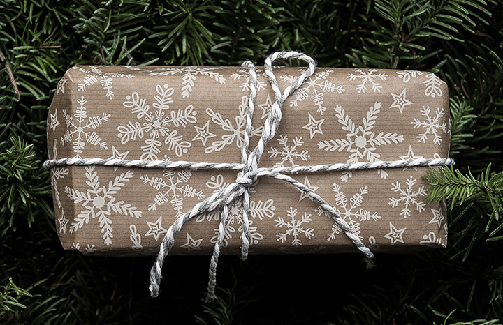 A wrapped Christmas present sitting on Christmas tree needles