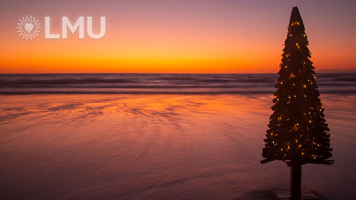 A Christmas tree on the shoreline with the sun setting