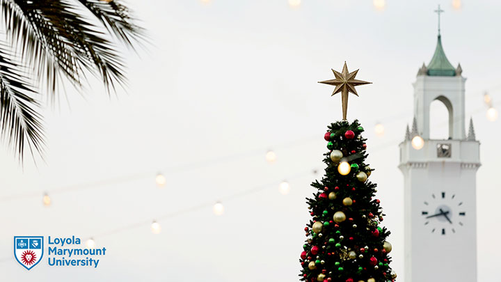 The top of the Christmas tree in Regents Terrace with the Sacred Heart Clock Tower in the background