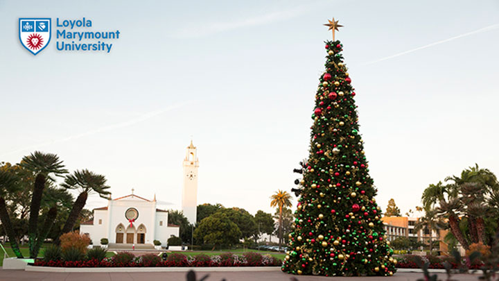 A photo of the Christmas tree in Regents Terrace with Sacred Heart Chapel in the background