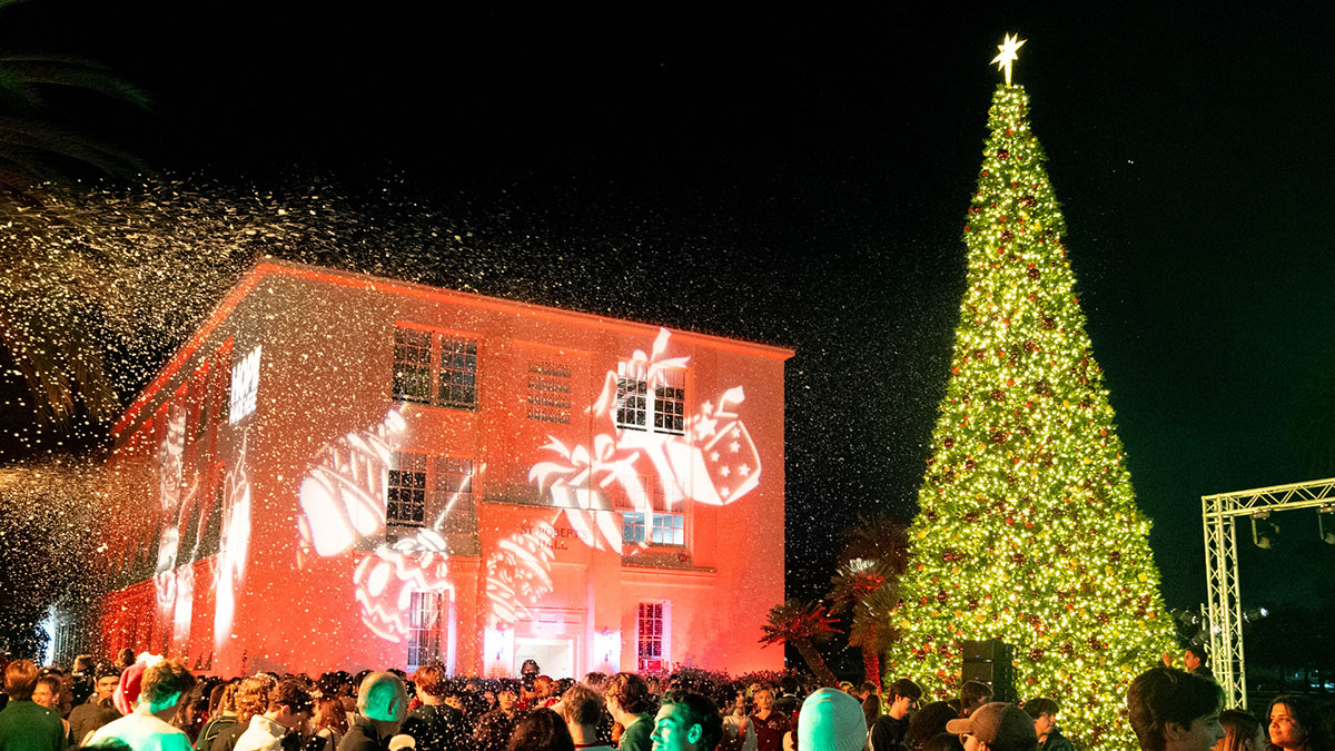 The illuminated Christmas tree in Regents Terrace at night with a sea of attendees mingling