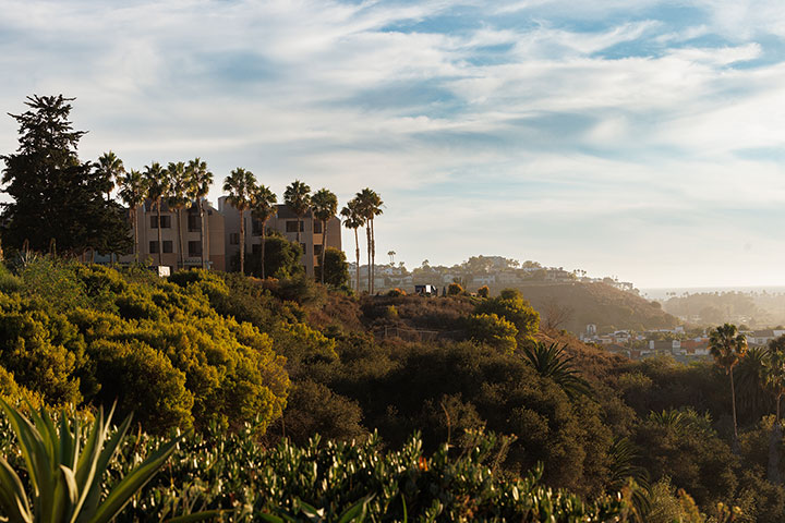 A view looking across the bluff toward the ocean with the Leavey Apartments visible