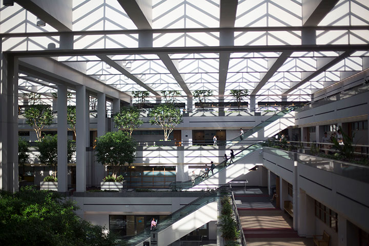 The three flights of escalators viewed from a high vantage point in University Hall