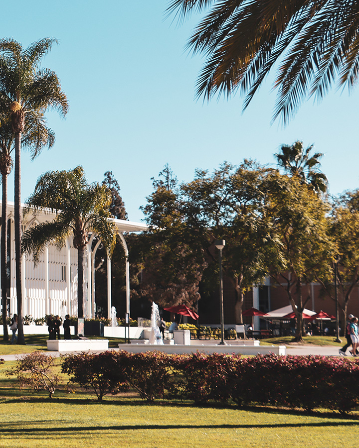 A view of Alumni Mall from Founders Pavilion looking toward Foley Building