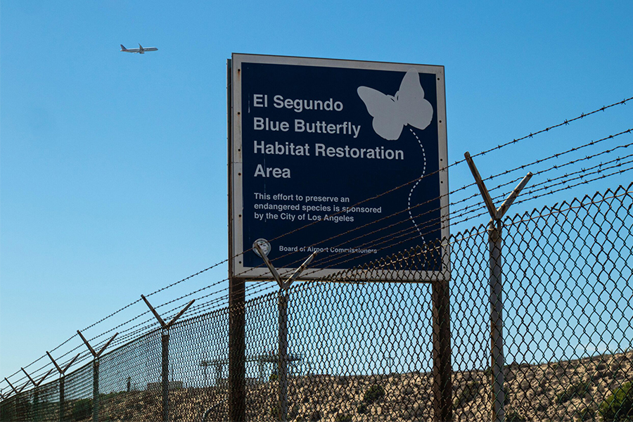 El Segundo Blue Butterly Habitat Restoration Area Sign
