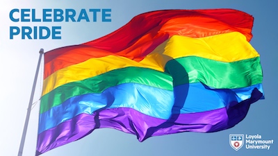 LMU zoom pride month flag background 2